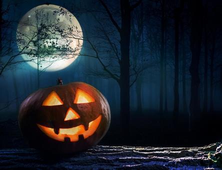 森の中のハロウィンのカボチャのランタン 森の中のハロウィンのカボチャのランタンの写真