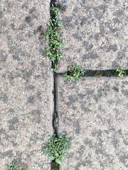 Photo, block, block gap, small world, 