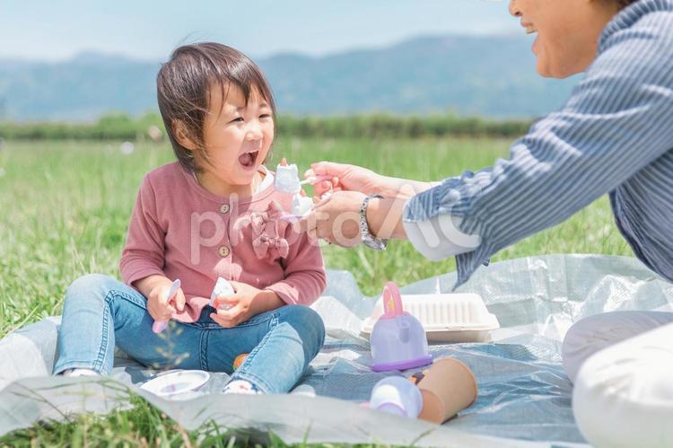おばあちゃんとおままごとする子供（幼児） おままごと,ピクニック,子供の写真素材