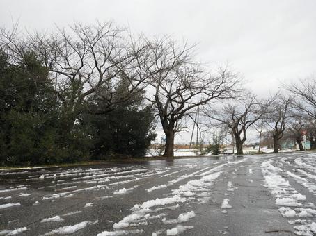 冬景色10 冬景色10の写真