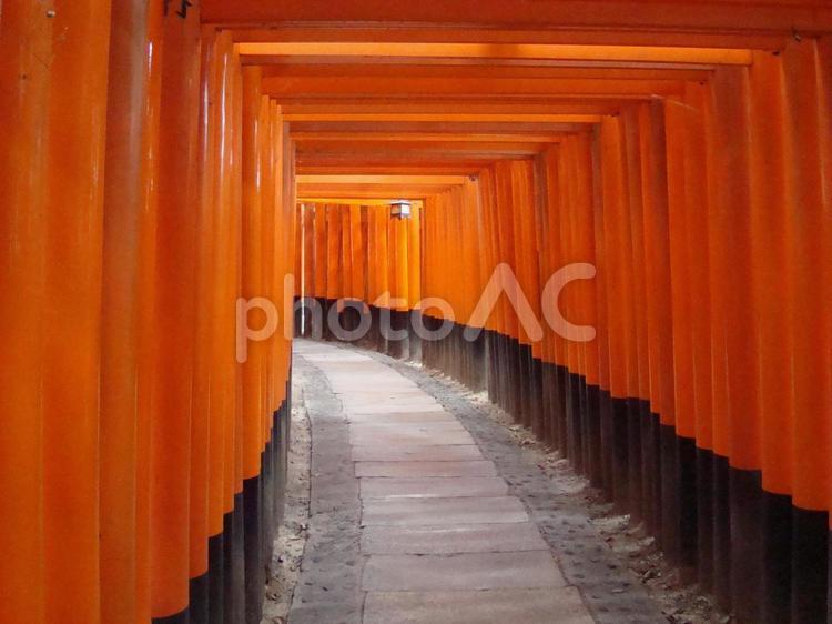 伏見稲荷大社の千本鳥居 京都,神社,鳥居の写真素材
