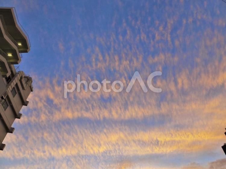 秋の夕焼け１ 10月,コピースペース,テクスチャの写真素材
