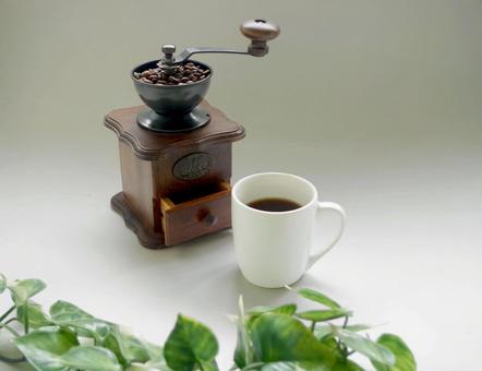 コーヒーミル コーヒー豆 グリーンの葉 コーヒーミル コーヒー豆 グリーンの葉 コーヒーミル,コーヒー豆,豆の写真素材