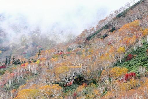 深まりゆく秋の栂池高原 深まりゆく秋の栂池高原の写真