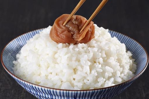 白ごはんと梅干し 白ごはんと梅干し 白ごはん,梅干し,白米の写真素材