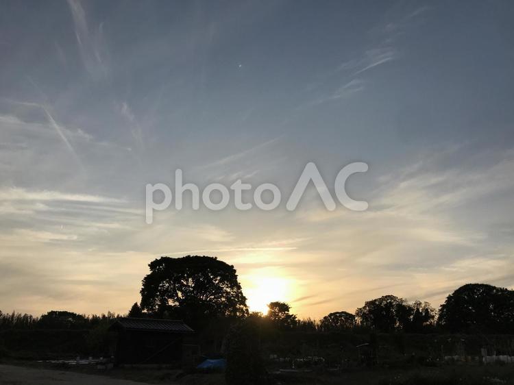 夕暮れの空と木 日暮れ,暁,空の写真素材