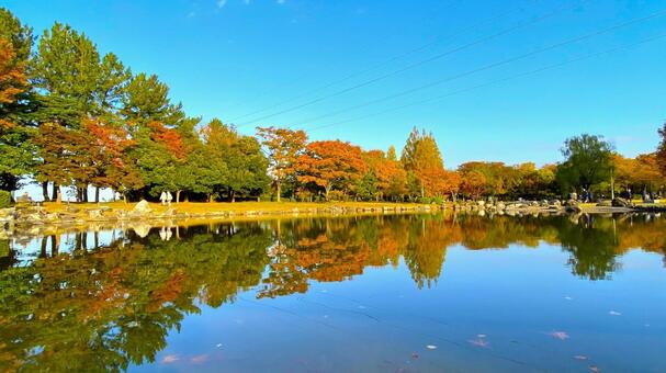 紅葉の北部公園（金沢） 紅葉,秋,公園の写真素材