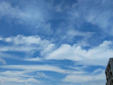白い絹のような繊維状の雲 白い絹のような繊維状の雲 空,青空,晴れの写真素材