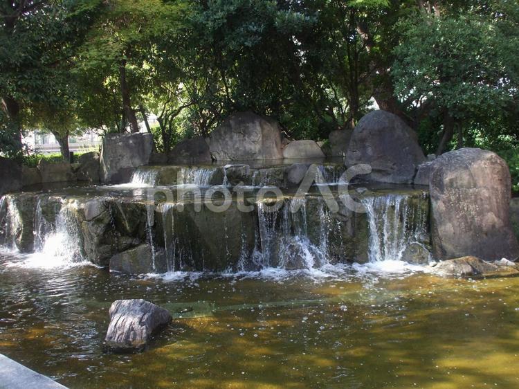 公園の風景9 公園,池,水場の写真素材