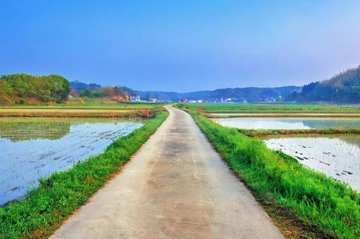 田園風景が広がるまっすぐな一本道 田園風景が広がるまっすぐな一本道 田んぼ,田舎道,田園風景の写真素材