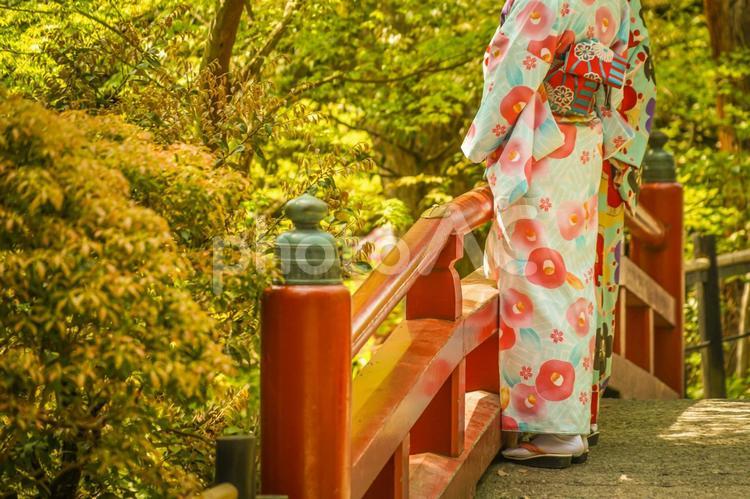 着物の女性のイメージ 着物,女性,民族衣装の写真素材