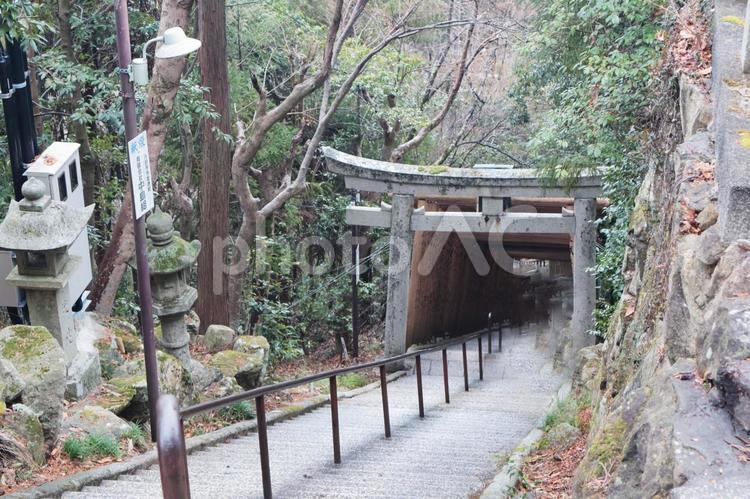 滋賀県 太郎坊宮の長い階段 太郎坊宮,滋賀県,関西の写真素材