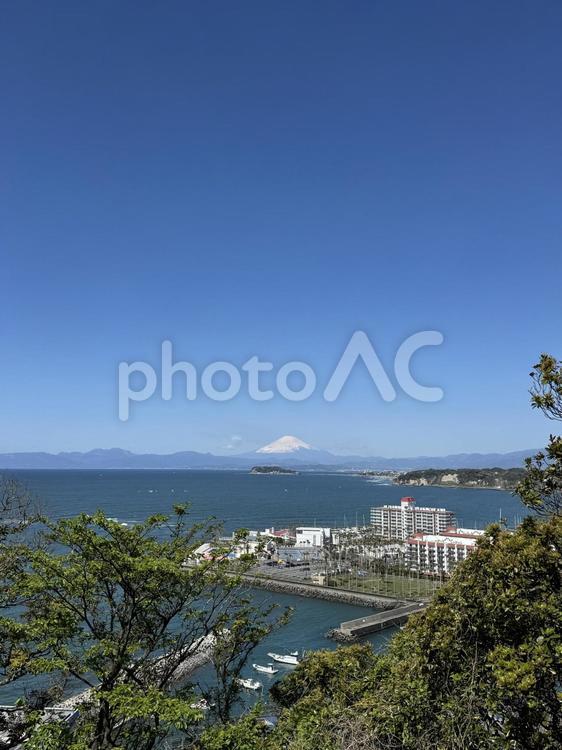 湘南から見た富士 湘南,富士,青空の写真素材