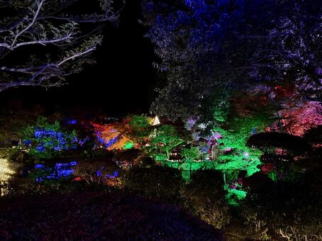 越前陶芸村　陶あかり　福井県陶芸館 福井,越前市,伝統工芸の写真素材