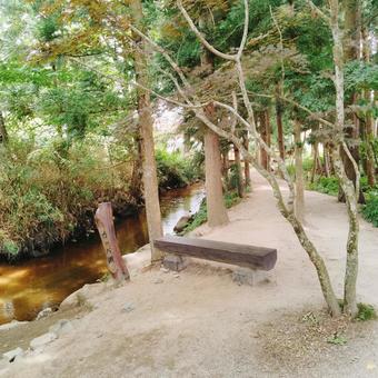 カッパ淵の風景 2025 カッパ淵の風景 2025の写真