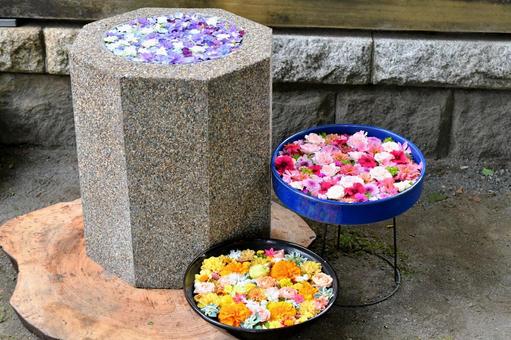 花手水 花手水の写真