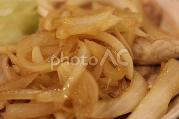 豚の生姜焼き 豚の生姜焼き,生姜焼き,料理の写真素材
