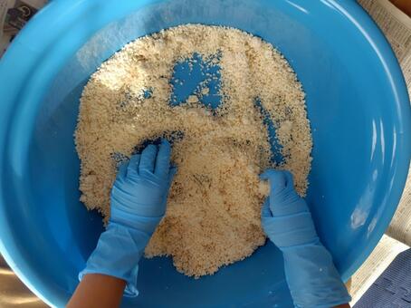 みそ作り　麹 みそ作り,味噌,麹の写真素材