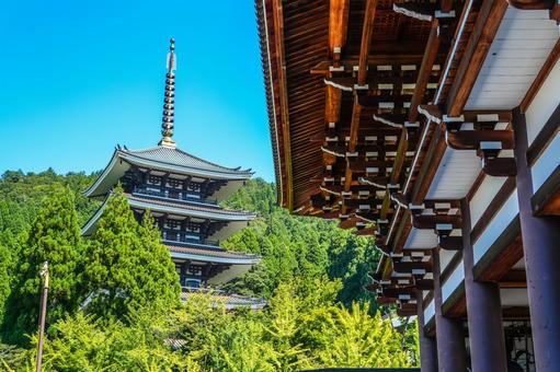 清大寺五重塔が見える風景 福井県 清大寺五重塔が見える風景 福井県 大師山清大寺,五重塔,越前の写真素材