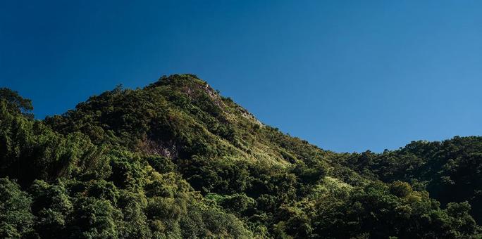 山の斜面を覆う鬱蒼とした森 山の斜面を覆う鬱蒼とした森の写真