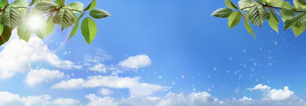 青空と新緑の木洩れ日　キラキラ光の写真