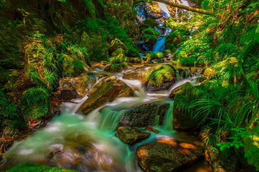 涼を求めて 涼を求めて 秘境,小川,茨城県の写真素材