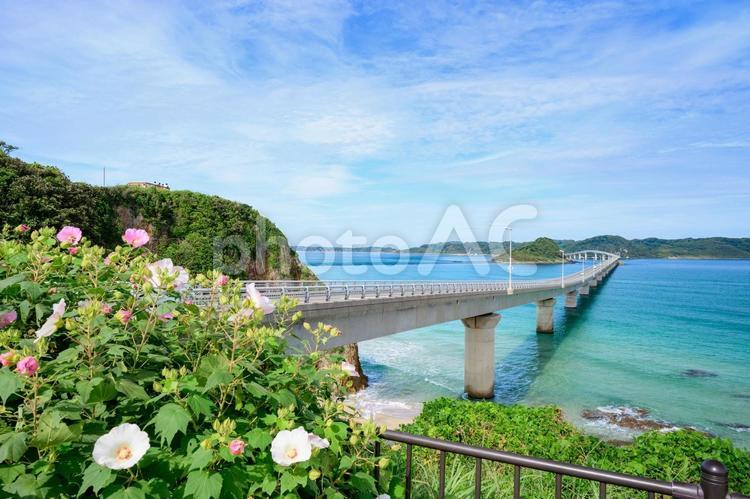 夏空の角島大橋を望む 角島大橋,角島,山口県の写真素材