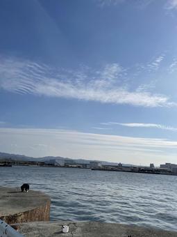 秋の気持ちいい海 海,風景,旅の写真素材