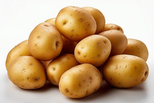 じゃがいも じゃがいもの写真