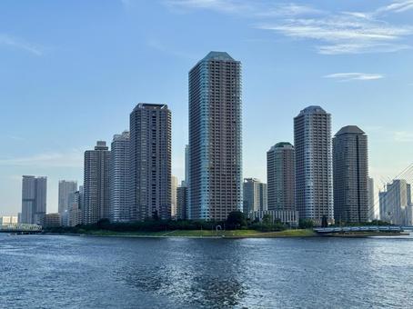 永代橋から見た佃の高層マンション 永代橋から見た佃の高層マンション 隅田川,高層マンション,佃の写真素材