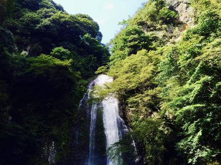 箕面大滝 箕面大滝 滝,箕面大滝,箕面公園の写真素材