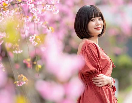 春・桜と、深紅の彼女のポートレート 春・桜と、深紅の彼女のポートレートの写真