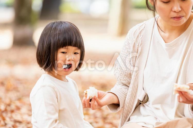 ピクニックでおにぎりを食べる子供 子供,おにぎり,食べるの写真素材