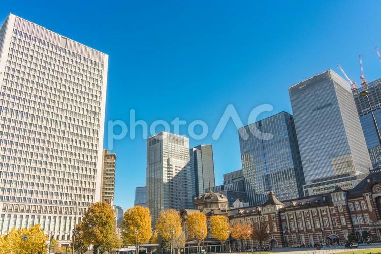 東京駅舎とイチョウ並木 四季の写真,東京駅,東京駅舎の写真素材