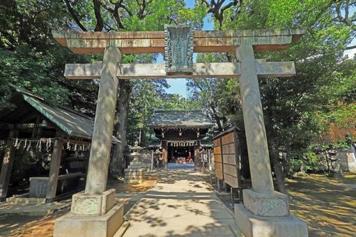 赤坂氷川神社(港) 赤坂氷川神社(港) 赤坂氷川神社,素戔嗚尊,奇稲田媛命の写真素材
