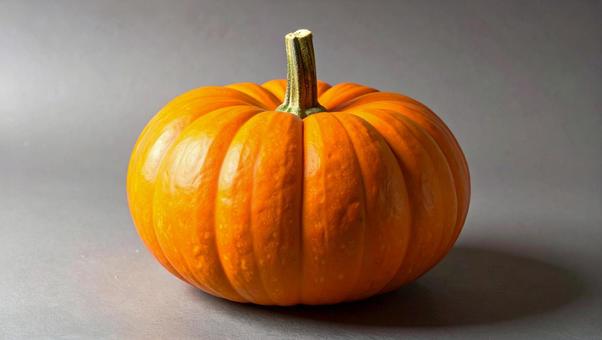 パンプキン1の写真