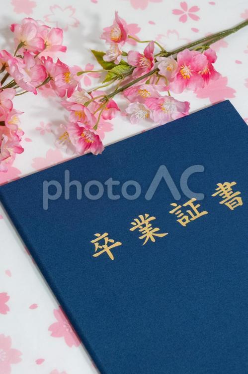 桜と卒業証書入れ 桜,春,卒業の写真素材