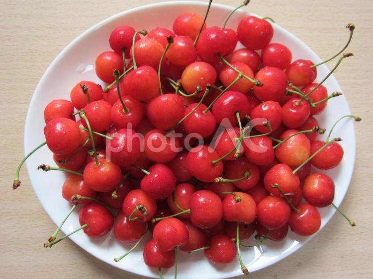 さくらんぼ　好きなだけ食べてね！！ さくらんぼ,チェリー,旬の写真素材