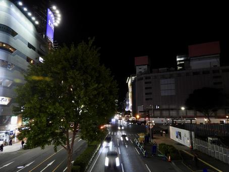 夜の仙台市愛宕上杉通 夜の仙台市愛宕上杉通 仙台市,愛宕上杉通,愛宕上杉通りの写真素材