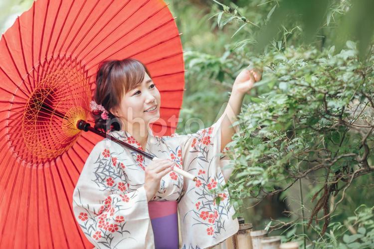 番傘と浴衣姿の女性 浴衣,女性,傘の写真素材