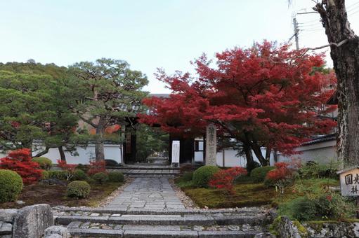 圓光寺　正門 圓光寺,正門,瑞巌山の写真素材