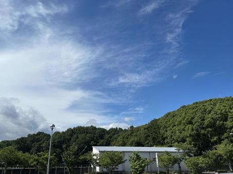 夏の青空 夏の青空の写真