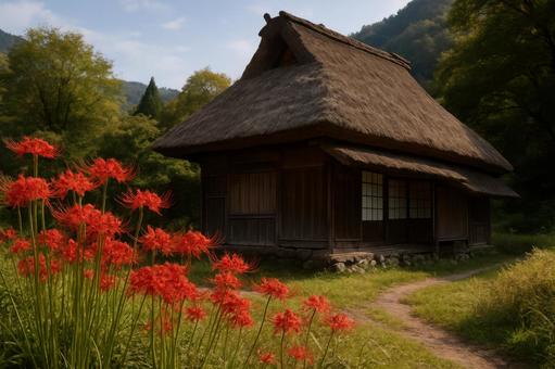 茅葺き屋根と彼岸花の日本風景 茅葺き屋根と彼岸花の日本風景の写真