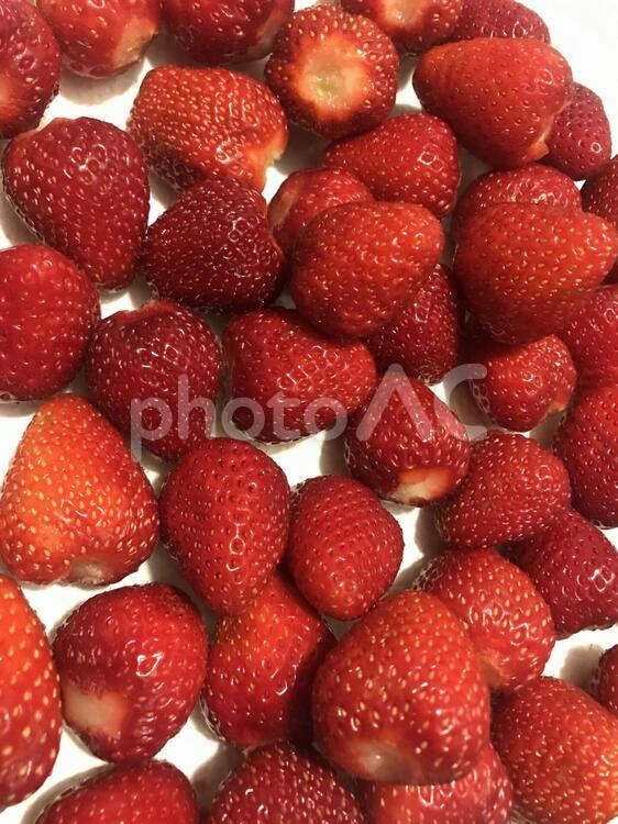 ごろごろいちご いちご,イチゴ,苺の写真素材