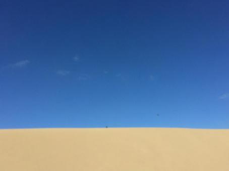 砂丘 砂丘の写真
