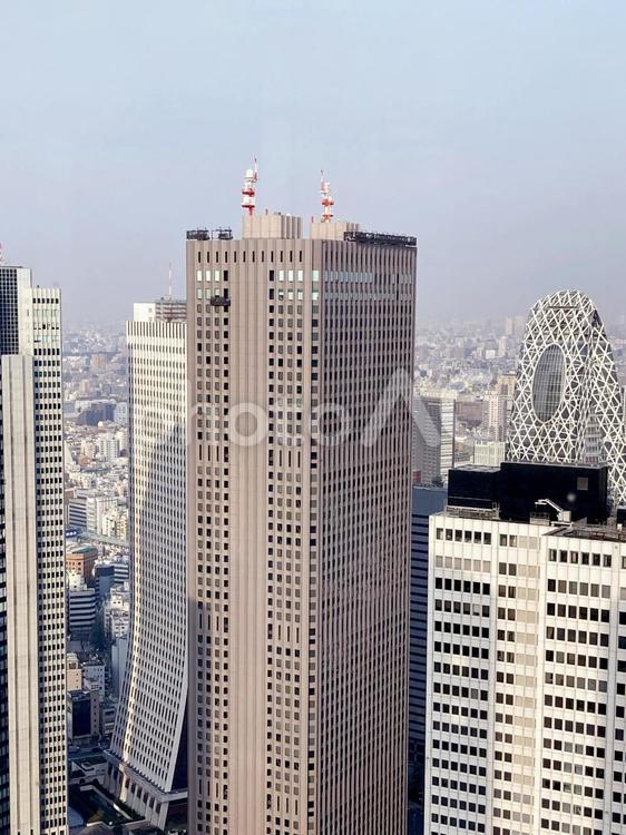 東京風景・新宿 新宿,新宿区,東京風景の写真素材