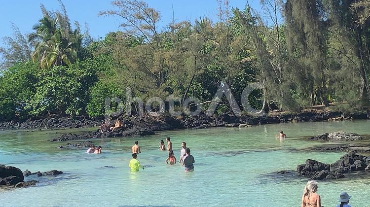 ハワイ島の秘境の海！ヤバいぞ！ ハワイ,海,ビーチの写真素材