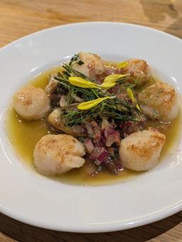 ホタテ ホタテ ホタテ,帆立,ホタテ料理の写真素材