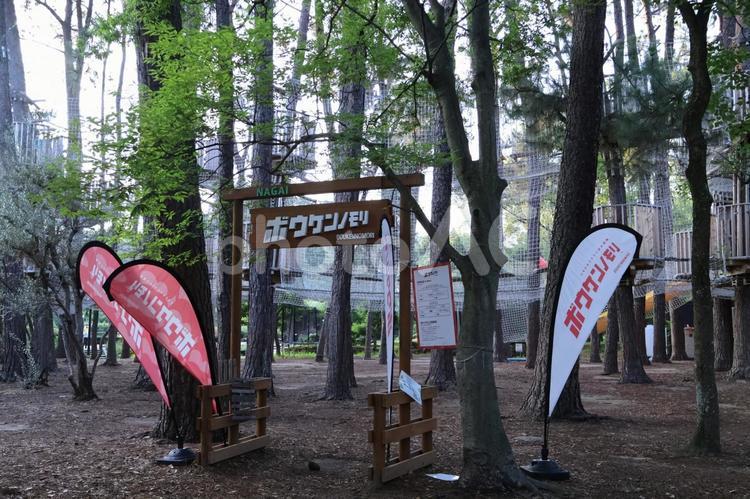 長居公園のボウケンノモリ（人物なし）1 長居公園,ボウケンノモリ,冒険の森の写真素材