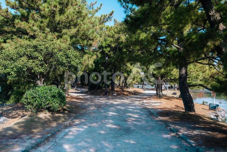 【福岡】大濠公園風景 福岡,大濠公園,公園の写真素材